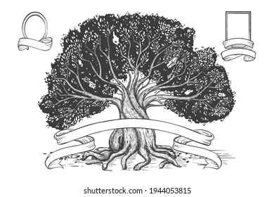 Old olive tree. Family tree hand drawn sketch print. Genealogical tree. Family tree in vintage sketch style. Pedigree template design, vector illustration. 