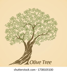 old olive tree, natural olive oil