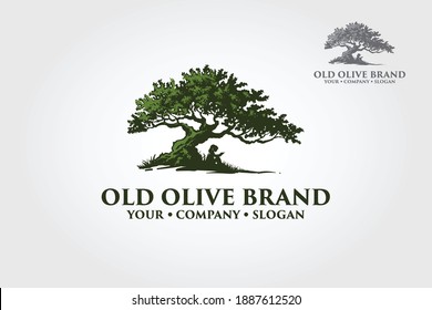 Old Olive Vector Logo Illustration. This logo template suitable for fashion, clothing businesses, olive oil labels, health care product, nutrition supplements, hotels, spa, beauty, salon, etc.