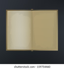 Old Open Book. Vector