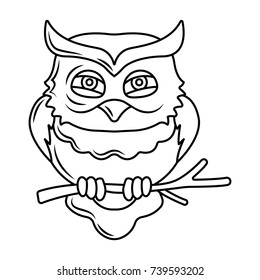 Old owl on the branch