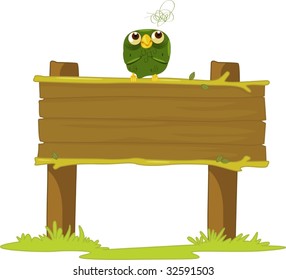 Old owl on a sign post