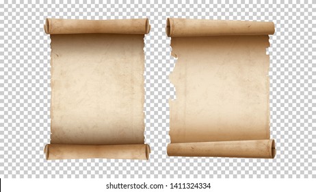 Old paper aged blank scrolls, two old parchments isolated. Vector illustration.-Vector