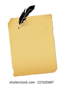 Old paper scroll and feather on white background. 