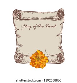 Old Paper scroll and marigold flower. Day of the dead