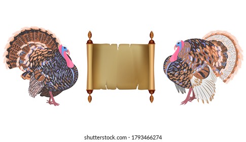 Old parchment scroll and turkeys. Vector illustration of happy thanksgiving celebration design