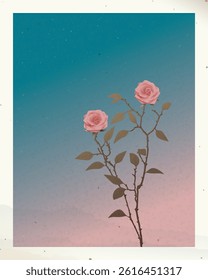 Old photograph of silhouette pink roses with twilight sky background with stained effect graphic illustration have blank space.