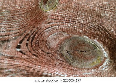 Old pine board, board structure with lines and knots