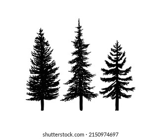 Old Pine Tree Silhouette Collection on the Park Residential landscape Hand Drawing Symbol Vintage Seal Stock Vector	