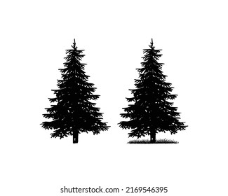 Old Pine Tree Silhouette Collection on the Park Residential landscape Hand Drawing Symbol Vintage Seal Stock Vector	
