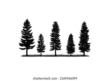 Silueta de árbol de pino antiguo en el parque paisaje residencial símbolo de dibujo manual vintage material de foca vectorial	
