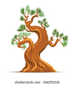 Old Pine Tree Vector Art