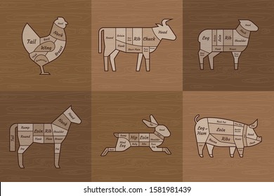 The old restaurant is a meat menu template. American scheme of pork cutting, chicken cuts and beef cuts, horse, rabbit, hare hand-drawn vector illustrations.