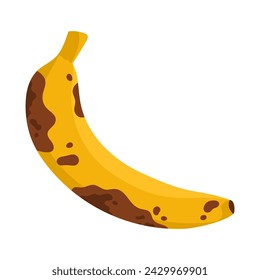 Old rotten banana fruit. Bad unhealthy food from kitchen, moldy expired tropical fruit cartoon vector illustration