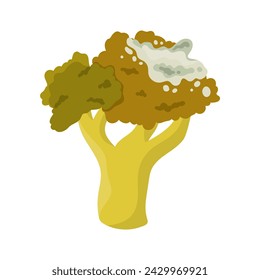 Old rotten broccoli vegetable. Damaged food from fridge, moldy expired product cartoon vector illustration