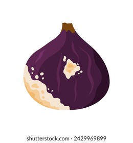 Old rotten fig fruit. Bad old unhealthy food, moldy expired product, organic garbage cartoon vector illustration