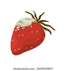 Old rotten strawberry. Bad old unhealthy fruit, moldy expired product, organic garbage cartoon vector illustration