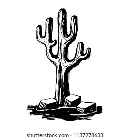 Old saguaro cactus isolated on white background, Carnegiea gigantea vector illustration. Black and white.