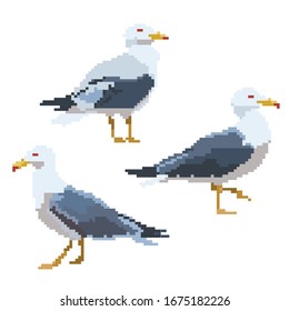 Old school 8 bit pixel art seagull standing on the ground.Sea bird icon isolated on white background. Side view gull symbol. Retro video/pc game character. Slot machine graphics. Summer vacation logo.