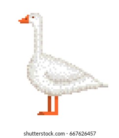Old school 8 bit pixel art white goose standing on the ground. Domestic farm bird icon isolated on white background. Poultry symbol. Fowl emblem. Retro video/pc game character. Slot machine graphics.