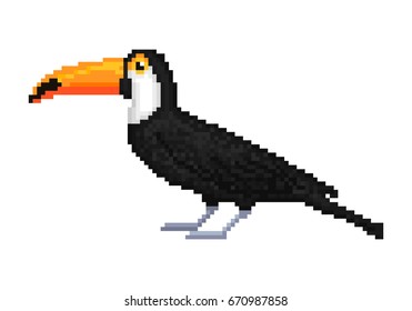 Old school 8 bit pixel art toco/common/ giant toucan isolated on white background. Wild south american animal. Exotic tropical jungle bird. Zoo/national park inhabitant. Summer vacation character.