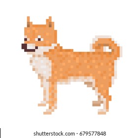 Old school 8 bit pixel art standing red Shiba Inu dog icon isolated on white background. Japanese dog breed character. Cute pet puppy symbol. Retro video/pc game domestic animal.Friendly smiling spitz