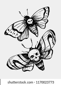 Old school moth. Hand drawn sketch converted to vector