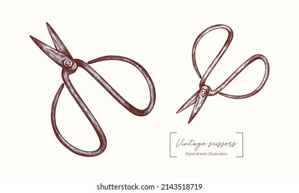 Old scissors in engraving style. Flower scissors for horticulture (flower, tree, garden) isolated white background. Vintage garden shears. Vector Hand Drawn. 