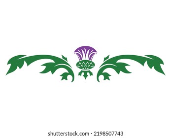 Old Scottish design. Thistle flower in Celtic ethnic style, isolated on white, vector illustration