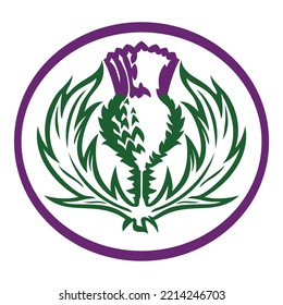 Old Scottish design. Thistle flower in Celtic ethnic style, isolated on white, vector illustration