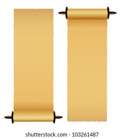 Old scrolls on white background. Vector