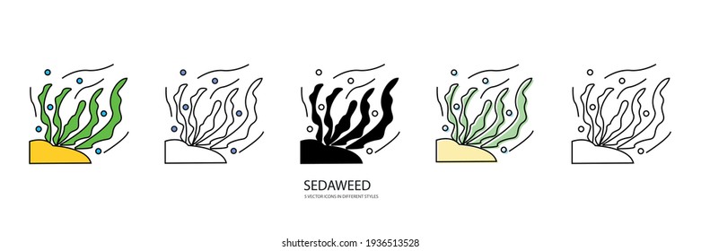 old seaweed vector type icon