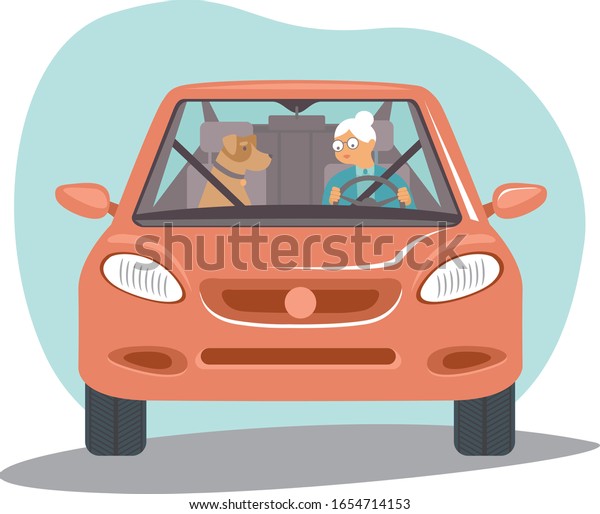 Old senior woman driving car her dog sitting\
near flat vector\
illustration