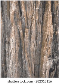Old sequoia tree bark