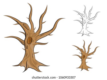 Old, single and leafless tree vector illustration in outline and colored version with shadows.