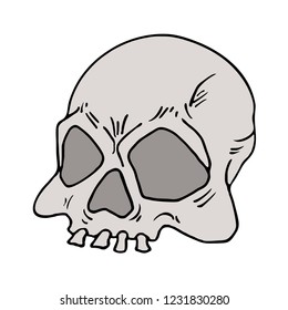 old skull draw