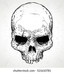 OLD SKULL VECTOR 