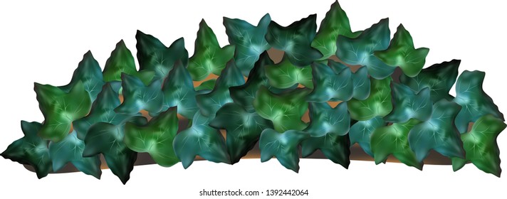 Old stone covered with grass, forest liana. For landscape design, exterior, interior, sites about plants, crop production. White background. Vector illustration.