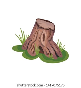Old stump on the lawn. Vector illustration on white background.