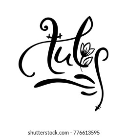 Old style lettering, Calligraphy. Word Tulip with hand drawn red vector flower. Logo for spa salon or flower shop