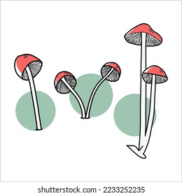Old Style Mushroom Drawing Vector Illustration
