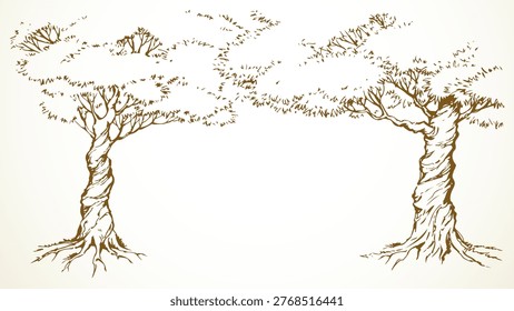 Old tall high stem copse twig crown arch fall flora lawn floral Israel hill field white sky text space scenic view. Black ink pen hand drawn organic eco oil herb scene doodle ancient retro art style