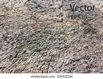 Old Timber Wood Abstract background