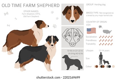 is there a such thing as a farm dog breed