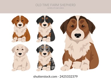 Old time farm shepherd clipart. Different coat colors set.  Vector illustration