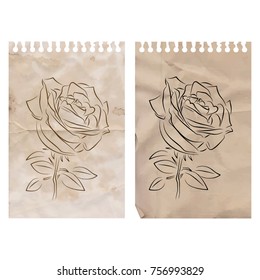 Old torn paper page  from notebook, aged sheets brown with coffee stains, with sketch of a rose flower on it, for vintage design.