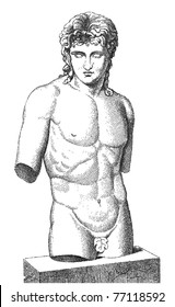 Old torso engraved illustration. Vector. Others in my portfolio.