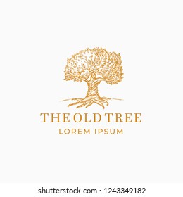 The Old Tree Abstract Vector Sign, Symbol or Logo Template. Hand Drawn Oak Tree Sketch Sillhouette with Retro Typography. Vintage Emblem. Isolated.