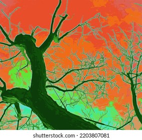 árbol viejo sobre el fondo del cielo rojo