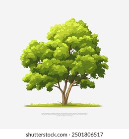 old tree asset vector art illustrations showcase the beauty and grandeur of ancient trees.With intricate details and a touch of nostalgia,they bring a sense of serenity and timelessness to design